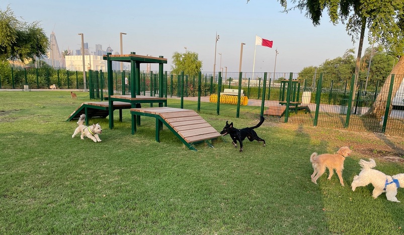 First Off Leash Dog Park in Qatar Opens in Al Bidda Park